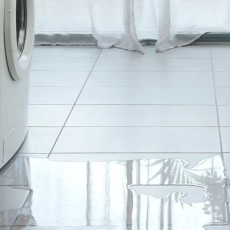 Appliance Leak Cleanup in Oberlin, LA