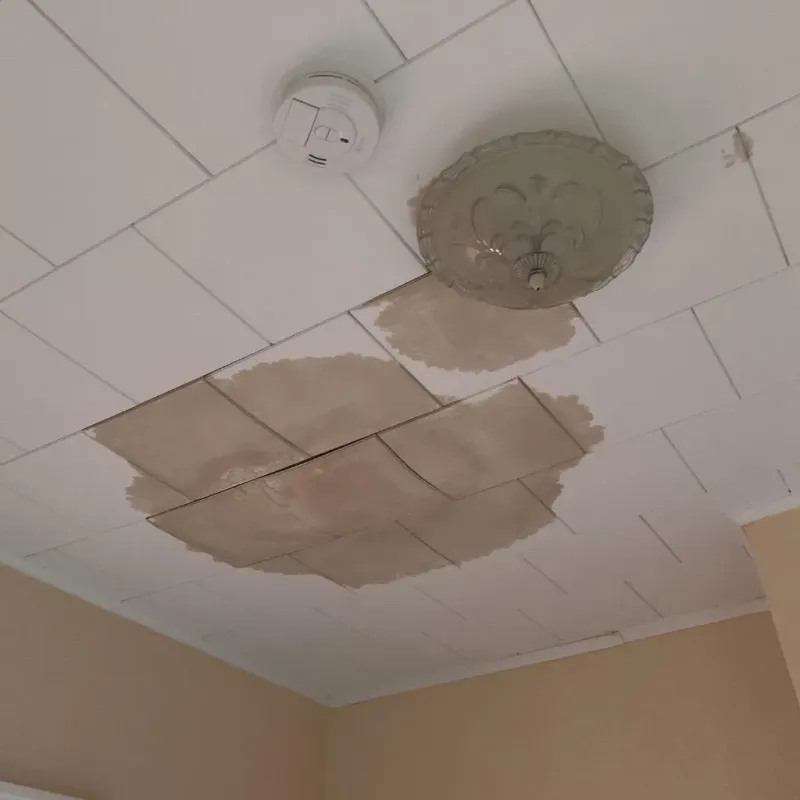 Ceiling Water Damage Repair in Oberlin, LA