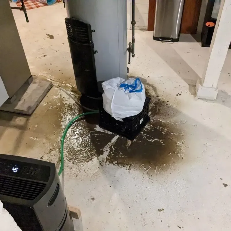 Sewage Backup Cleanup Service in Oberlin, LA